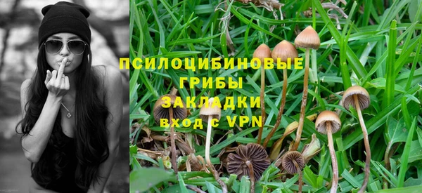прущая мука Абаза