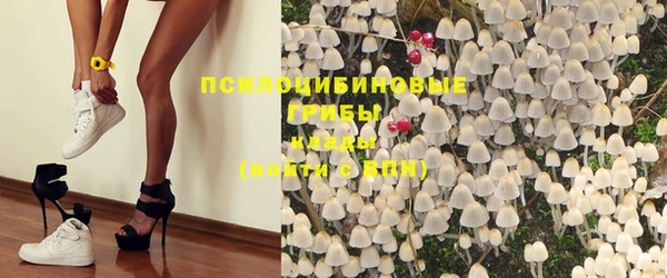прущая мука Абаза